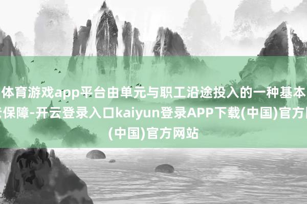 体育游戏app平台由单元与职工沿途投入的一种基本养老保障-开云登录入口kaiyun登录APP下载(中国)官方网站