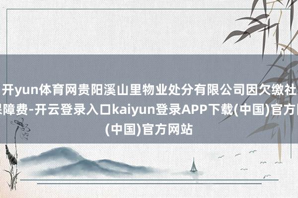 开yun体育网贵阳溪山里物业处分有限公司因欠缴社会保障费-开云登录入口kaiyun登录APP下载(中国)官方网站