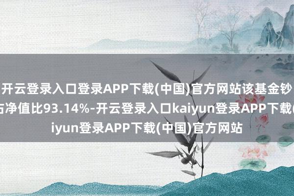 开云登录入口登录APP下载(中国)官方网站该基金钞票成就：股票占净值比93.14%-开云登录入口kaiyun登录APP下载(中国)官方网站