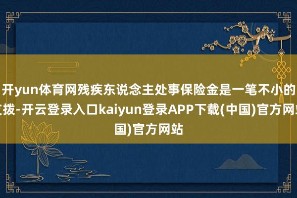 开yun体育网残疾东说念主处事保险金是一笔不小的支拨-开云登录入口kaiyun登录APP下载(中国)官方网站